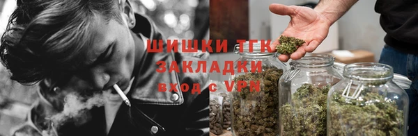 прущие крисы Медвежьегорск