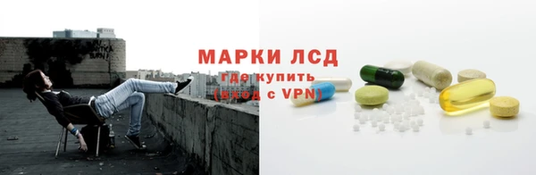 ПСИЛОЦИБИНОВЫЕ ГРИБЫ Медногорск