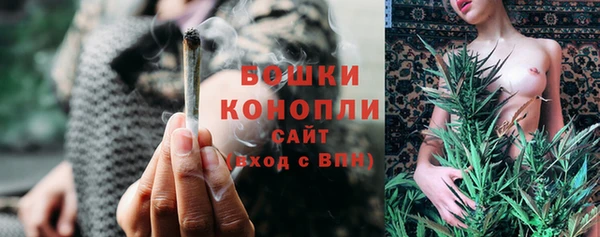 прущие крисы Медвежьегорск