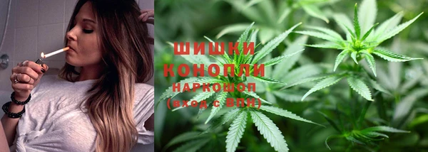 прущие крисы Медвежьегорск