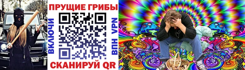закладки Островной Галлюциногенные грибы ЛСД